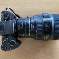 FAQs: Canon EOS M5 - Einstellungen und Vergleich mit den EOS M und RP  2021